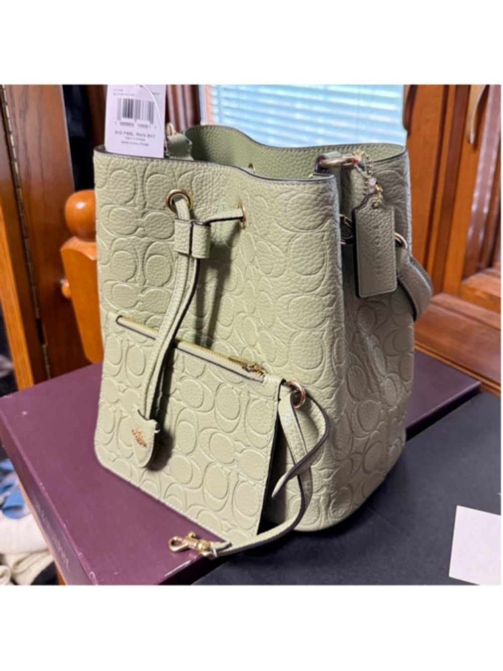 NEW Coach Rowan Bucket Bag in Pistachio Signature Leather Crossbody CEA96 NWT